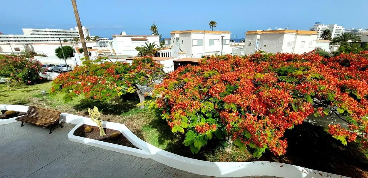 Apartment Tenerife Las Americas Bungalow Playa de las Americas